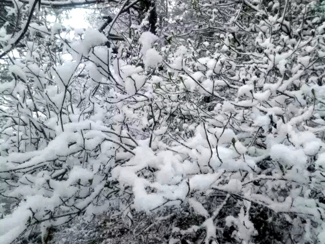 20160115_204219_012.jpg